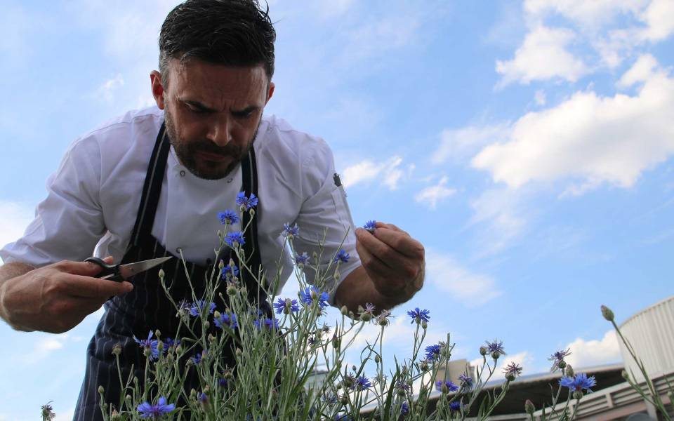 Oliver Thomas Head Chef at The Lowry tending to the roof garden